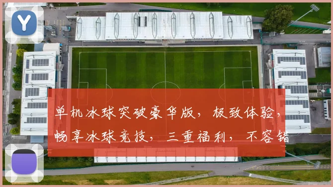 单机冰球突破豪华版，极致体验，畅享冰球竞技，三重福利，不容错过，尽在豪华版